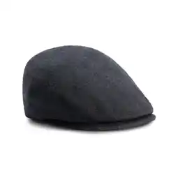 ANWB Mgo Tod Heren Flatcap Wolmix Blauw aanbieding