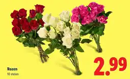 Lidl Rozen aanbieding