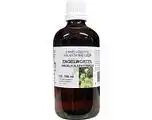 De Online Drogist Natura Sanat Angelica Officinalis/Engelwortel 100ML aanbieding