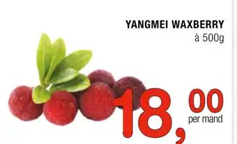 Amazing Oriëntal Yangmei waxberry 500 g aanbieding