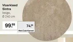 Karwei Vloerkleed Sintra aanbieding