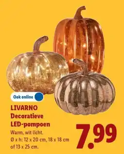 Lidl Livarno Decoratieve LED-pompoen aanbieding