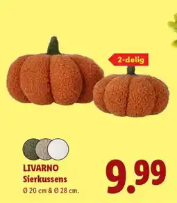 Lidl Livarno Sierkussens aanbieding