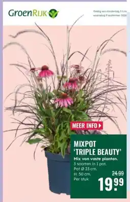 GroenRijk GroenRijk MIXPOT 'TRIPLE BEAUTY' aanbieding