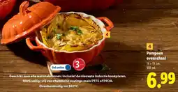 Lidl Pompoen Ovenschaal aanbieding