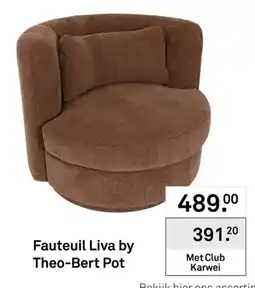Karwei Theo-Bert Pot Fauteuil Liva aanbieding