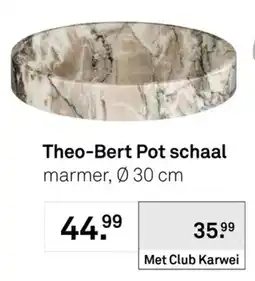 Karwei Theo-Bert Pot schaal aanbieding