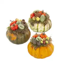 Albert Heijn AH Pompoen decoratie aanbieding