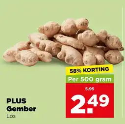 PLUS Gember aanbieding