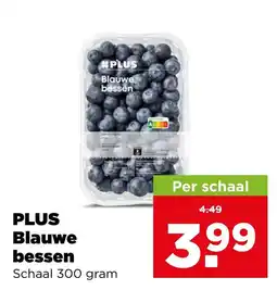 PLUS PLUS Blauwe bessen aanbieding