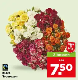 PLUS PLUS Trosrozen aanbieding
