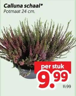Dekamarkt Calluna schaal* aanbieding