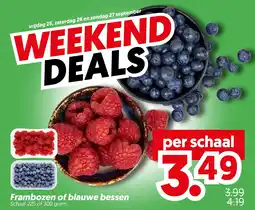 Dekamarkt Frambozen of blauwe bessen aanbieding