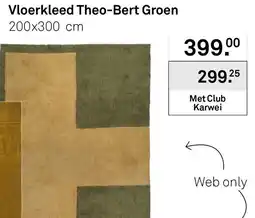 Karwei Vloerkleed Theo-Bert Groen aanbieding