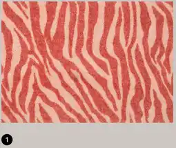 Karwei Droogloopmat zebra zalm/terra aanbieding
