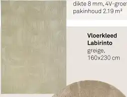 Karwei Vloerkleed Labirinto aanbieding