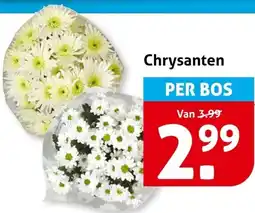 Hoogvliet Chrysanten aanbieding