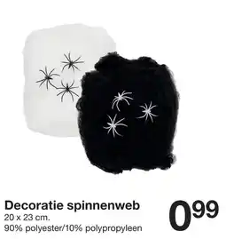 Zeeman Decoratie spinnenweb aanbieding