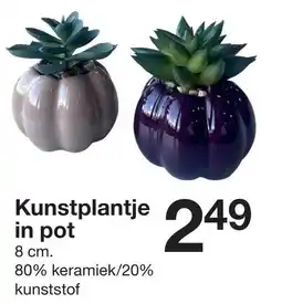 Zeeman Kunstplantje in pot aanbieding