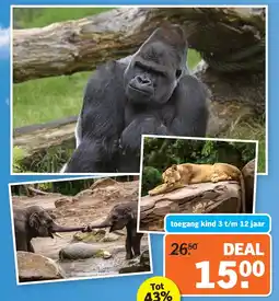 Albert Heijn toegang kind 3 t/m 12 jaar aanbieding