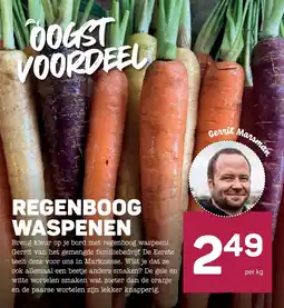 Ekoplaza regenboog waspenen aanbieding