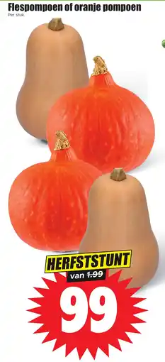 Dirk Flespompoen of oranje pompoen aanbieding