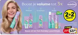 Kruidvat Andrélon Volume Boost aanbieding