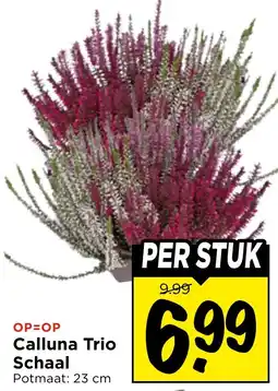 Vomar Voordeelmarkt Calluna Trio aanbieding