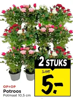 Vomar Voordeelmarkt Potroos aanbieding