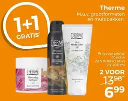 Trekpleister Therme aanbieding