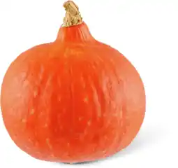 Dirk Oranje pompoen Holland aanbieding