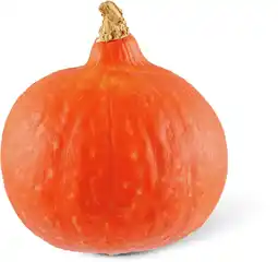 Dirk Oranje pompoen Holland aanbieding