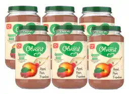 De Online Drogist Olvarit 12m+ Appel Peer Framboos 200GR aanbieding