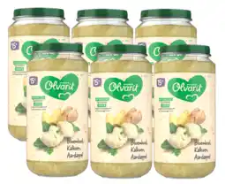 De Online Drogist Olvarit 15m+ Bloemkool Kalkoen Aardappel 250GR aanbieding