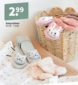 Wibra Babysokken aanbieding