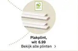Karwei Plakplint aanbieding