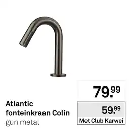 Karwei Atlantic fonteinkraan Colin gun metal aanbieding