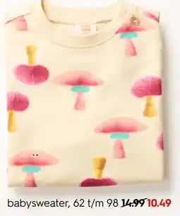 HEMA babysweater aanbieding