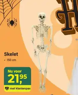 Van Cranenbroek Skelet aanbieding