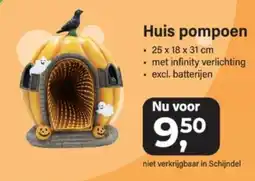 Van Cranenbroek Huis pompoen aanbieding