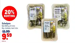 Makro Verse schelpjes aanbieding