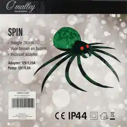 Van Cranenbroek Spin groen opblaasbaar 240 cm aanbieding