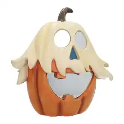 Van Cranenbroek Pompoen spook infinity 30 cm aanbieding