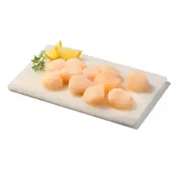 Albert Heijn AH Excellent Coquilles aanbieding