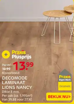 Praxis Decomode laminaat lions nancy aanbieding