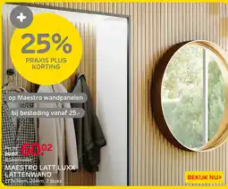 Praxis Maestro lattenwand aanbieding