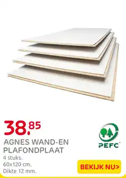 Praxis agnes wand-en plafondplaat aanbieding
