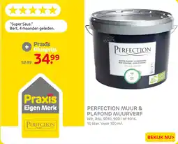 Praxis Praxis Perfection muur & plafond muurverf aanbieding
