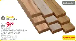 Praxis Praxis laminaat aanbieding