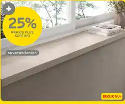 Praxis Vensterbanken aanbieding